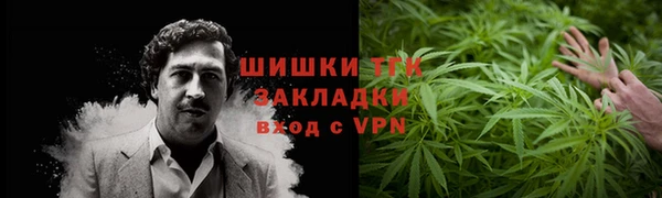 дживик Абаза