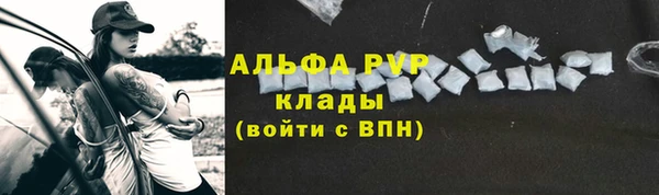 дживик Абаза